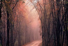 雄鹿队防守崩盘，惨遭对手狂轰猛炸，发现更多搜索一切运行东西那个一些很多.的简单介绍